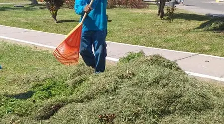 Recojo de maleza